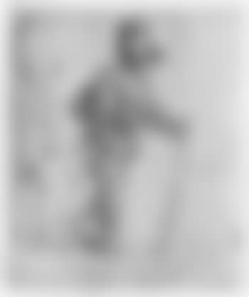 Der Bauer mit Weib und Kind (preview)