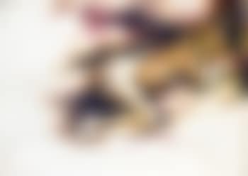 Figura dormiente (preview)