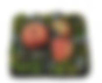 Mele e susine (preview)