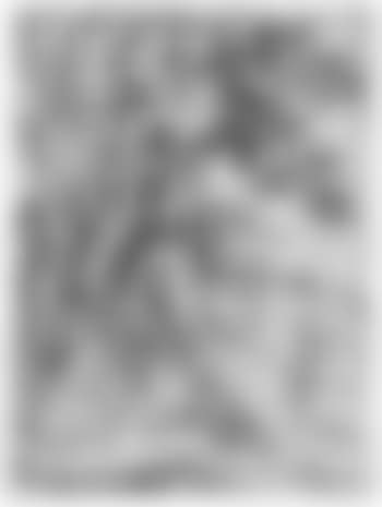 Der hl. Hieronymus (preview)