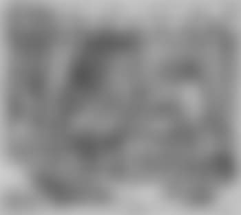 Der Porträtabzeichner (preview)