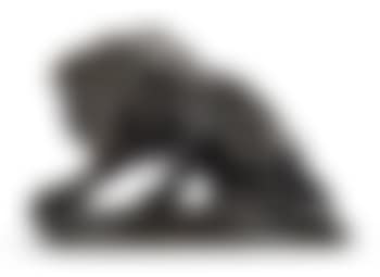Lion Au Serpent (Premiere Reduction) (preview)