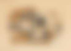 Nature morte (preview)