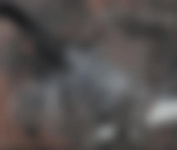 Carrilage (preview)