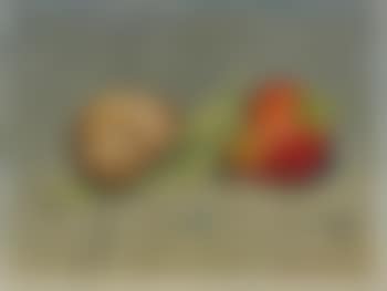 Stillleben mit Schnecke, Zündholz und Erdbeere (preview)