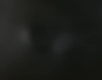 2 ovali neri (preview)