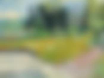 Landschaft mit blühender Wiese (preview)