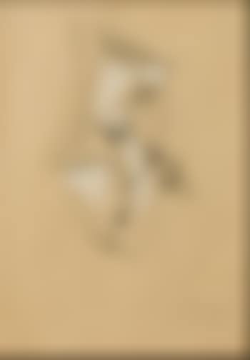 Selbstportrait als Ohr (preview)