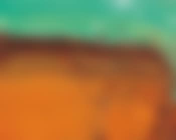 Grevilleas and Tableland (preview)