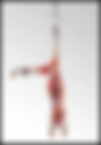 Coniglio appeso (preview)