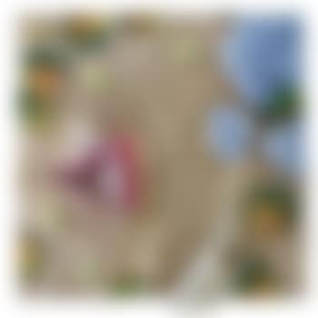 Caraibi (preview)