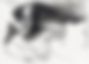 Femme Assise (preview)