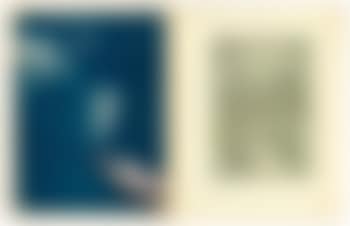 View (preview)
