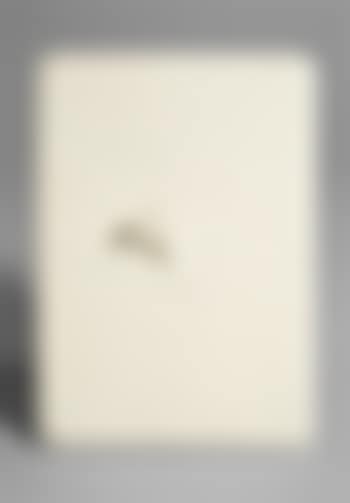 Aus: Kineticism Series (traffic Paint) (preview)