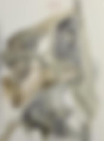 La Divine Comodie (preview)