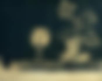 Nature Morte aux Verre et Fleurs (preview)