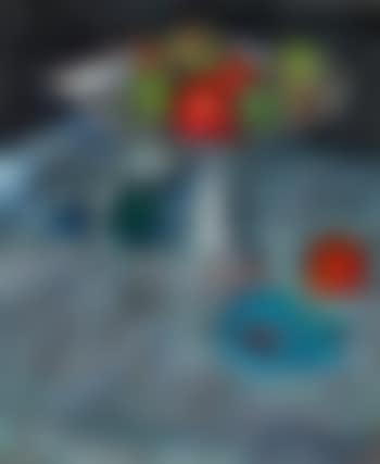 Fruit Bowl (preview)