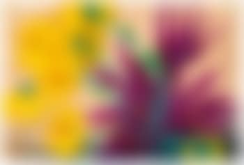 Flowers (yellow and purple) (preview)