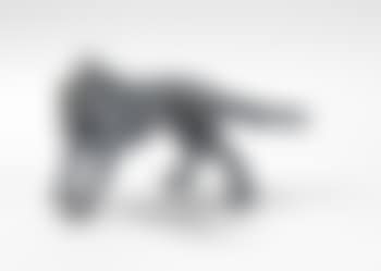 Study for a wolf's bodily movement: For head on (preview)