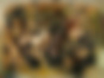 Composition II/2 (preview)