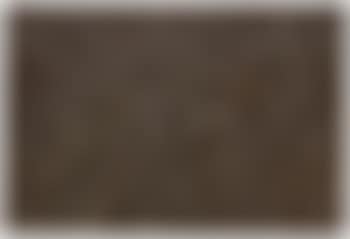Inpainting (brown) (preview)