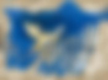 Untitled (preview)