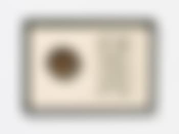 Art Pillory (preview)