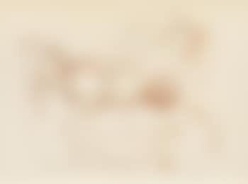 L'Etalon blanc (preview)