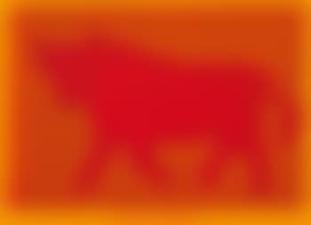 Is it a bull? (preview)
