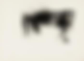 Ohne Titel (preview)