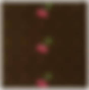 Monogram Multicolore-Cherry (preview)