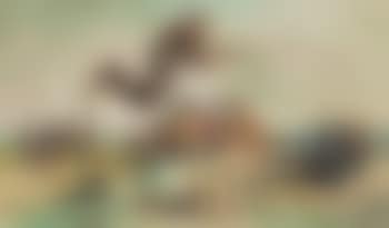 Louisiana Rice Fields (preview)