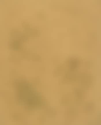 Waterdrops (preview)