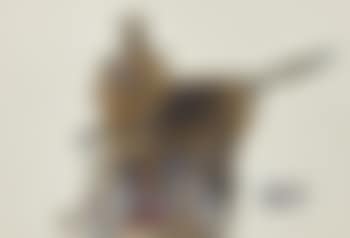 Centaure (preview)