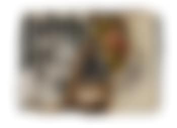 Combustion (preview)