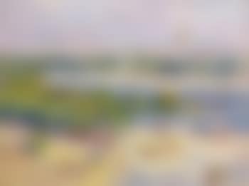 Paris, la Seine et la place de l'Alma (preview)