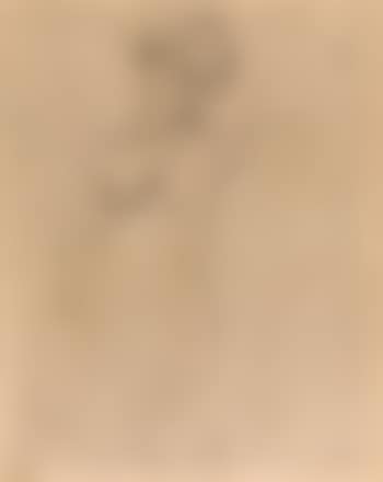 Nu (preview)