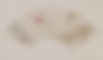 [Untitled] (preview)