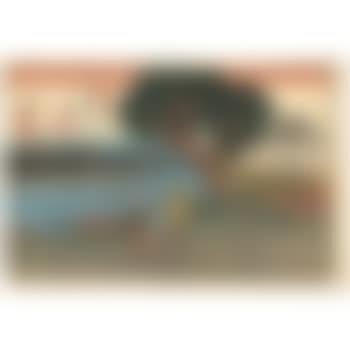 Shionda (preview)