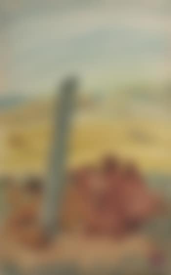 Chameaux (preview)
