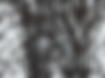 Suite ʹ45 (preview)