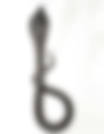 Serpent attaquant (preview)
