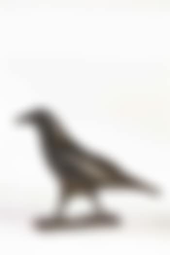 Corbeau, grand modèle (preview)
