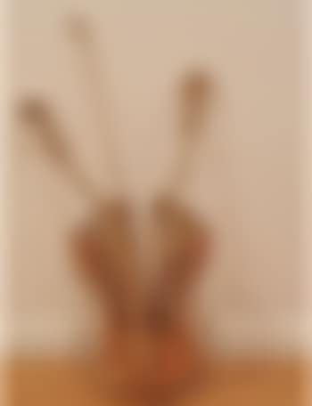 Violon de Venise (preview)