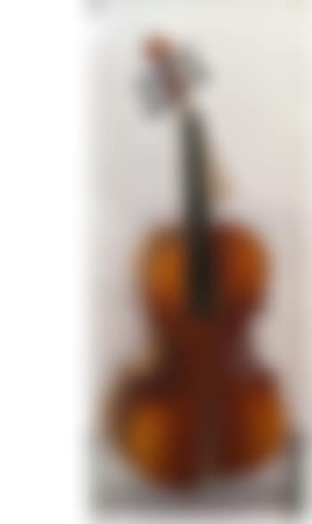 Inclusion violon découpé (preview)