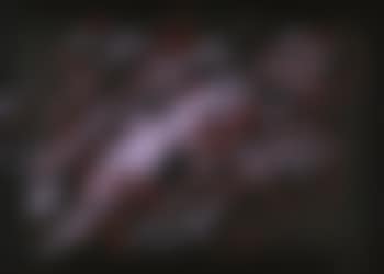 Composizione (preview)