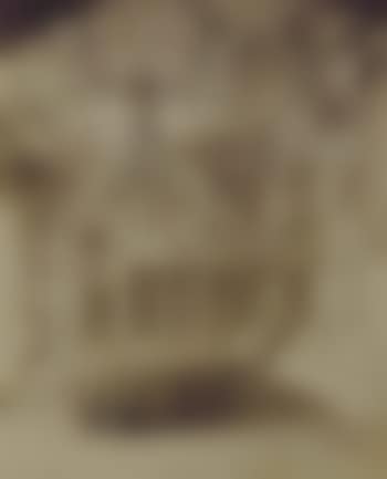 Ambassade d'Autriche, 57 rue de Varenne, Paris (preview)