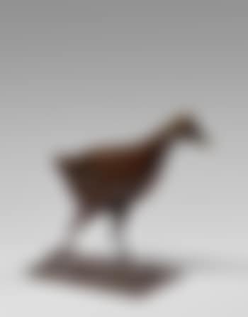 Poule d'eau (preview)