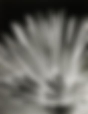 Straws (preview)