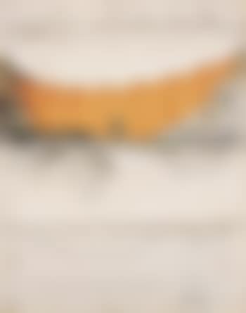 Valley curtain (project for Colorado) (preview)